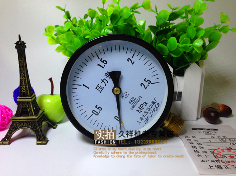 Y-100普通厂家直销气压表