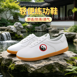 男式太极鞋女款夏透气专业打太极拳的鞋练功八段锦武术鞋武林一号