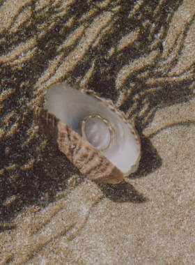 MINIBLOOM 纯银花环细圈戒指金银两色百搭戒指尾戒