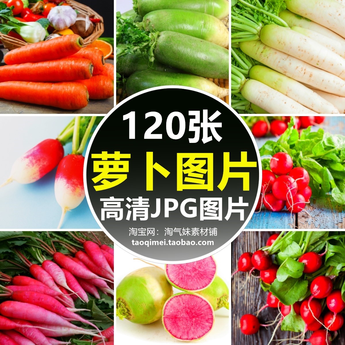 高清jpg萝卜图片白萝卜胡萝卜水果萝卜心里美绿萝卜蔬菜摄影素材