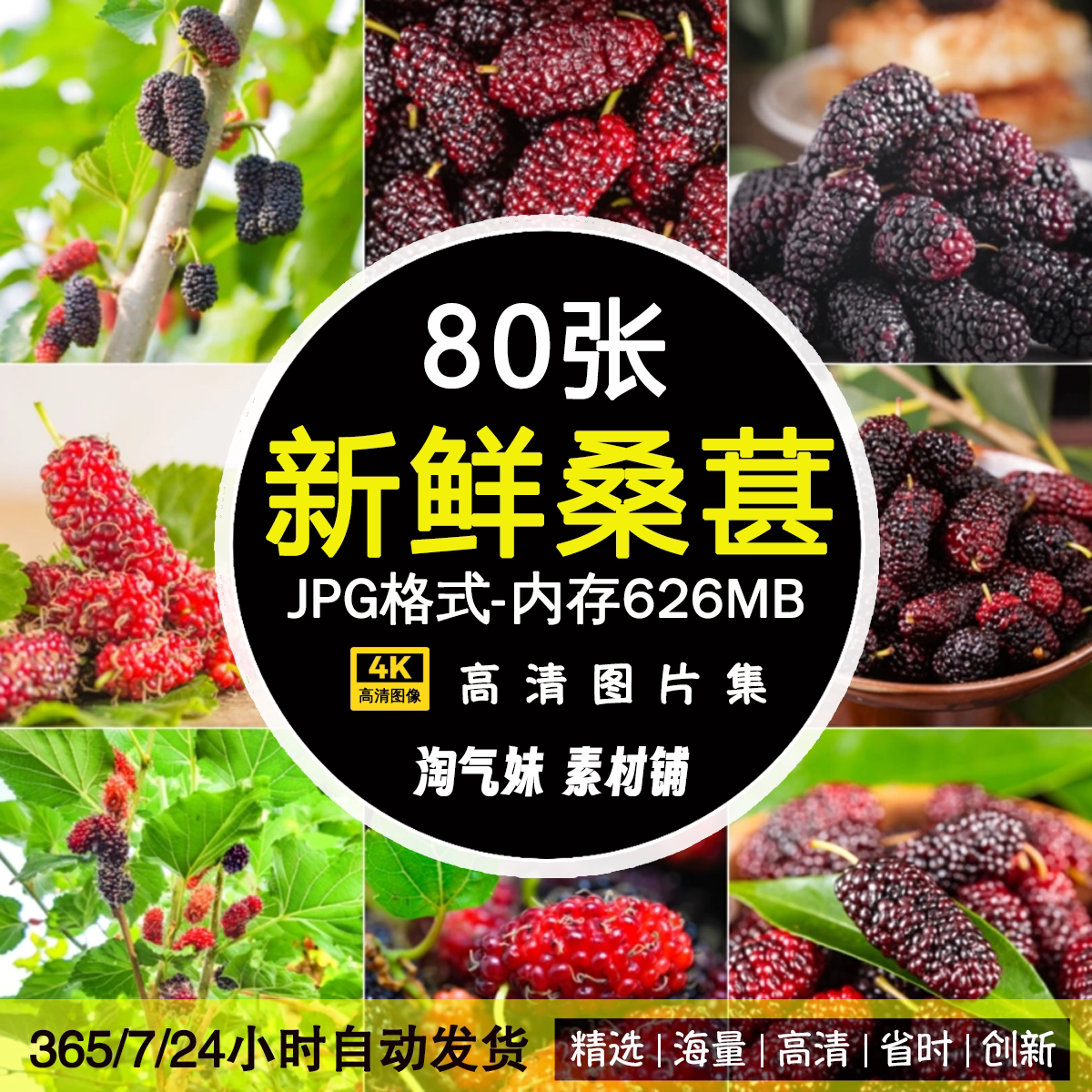 高清JPG桑葚图片黑桑葚子桑果桑泡桑叶桑树果实新鲜水果摄影素材