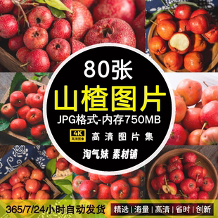 高清JPG山楂图片山里红果实果肉新鲜水果酸甜糖葫芦原料摄影素材