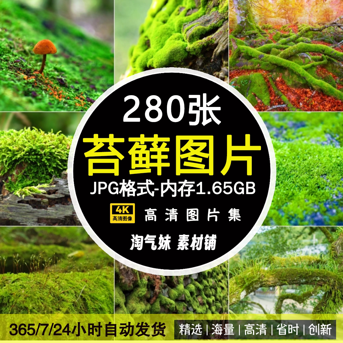 高清JPG苔藓图片森林丛林树丛绿色植被青苔植物自然风景摄影素材