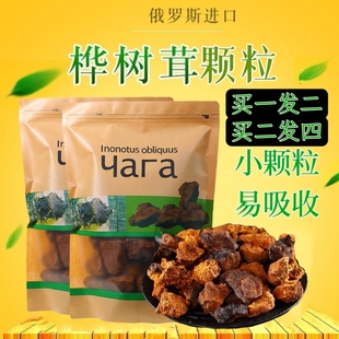 桦树茸俄罗斯进口野生白桦茸颗粒250g正品桦褐孔菌非长白山树茸茶