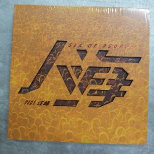 官方正版 汪峰《人海》2025全新实体专辑 2CD+歌词本 摇滚唱片