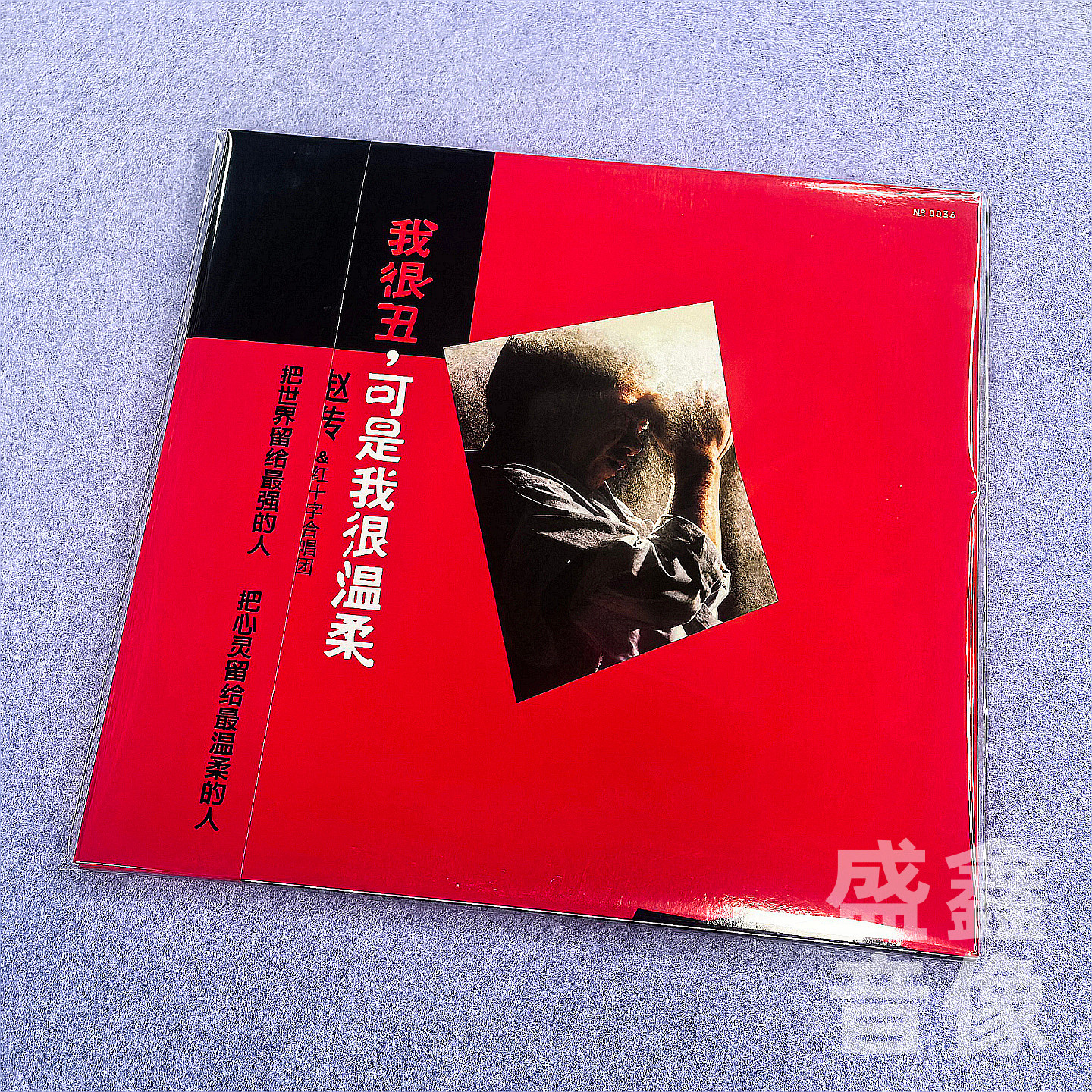 编号版 正版 赵传专辑 《我很丑,可是我很温柔》12寸 黑胶LP唱片