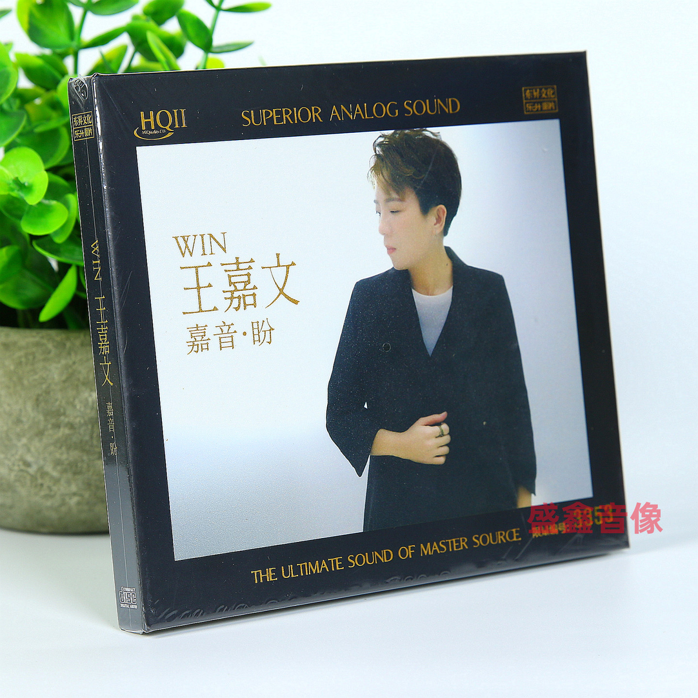 头版限量王嘉文cd专辑嘉音盼HQIICD正版HIFI高品质粤语音乐发烧碟