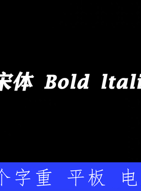 宋体 Bold Italic ttf格式Win/Mac/Procreate字体包中文简体字库