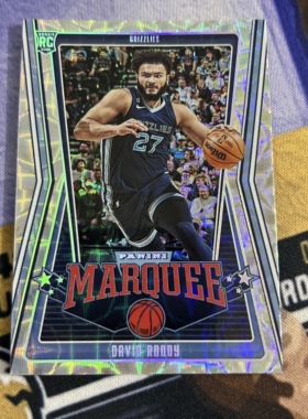 【iR】NBA球星卡 Panini 戴维 大卫 罗迪 David Roddy 新秀卡