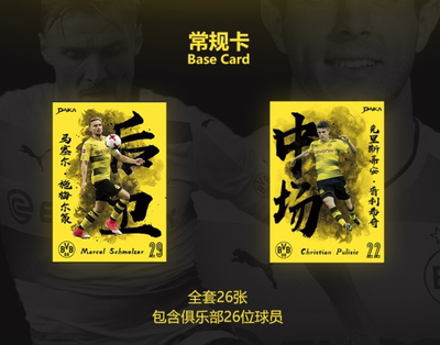 【iR】足球球星卡 1718 Daka 多特蒙德 官方球星卡 普卡 补齐