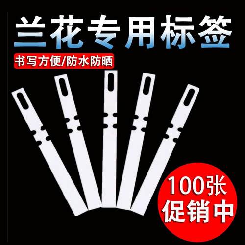 方便书写防水实用绿植花卉环套