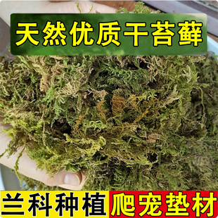水苔蝴蝶兰花专用营养土纯天然无菌苔藓石斛种植栽培乌龟过冬保暖