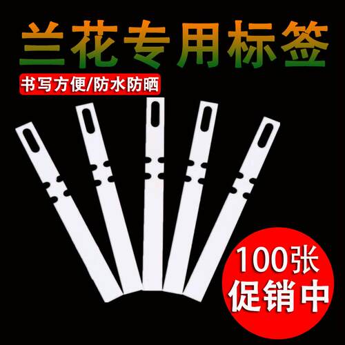 兰花专用防水防晒标签纸
