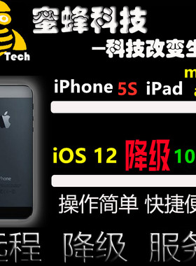 5s降级mini2降级10.3.3