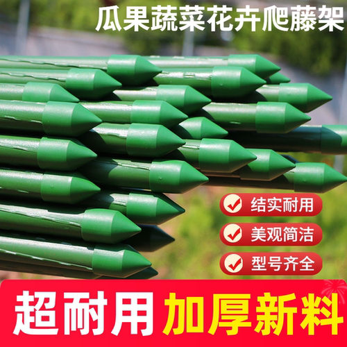 菜园支撑架黄瓜豆角园艺爬藤架