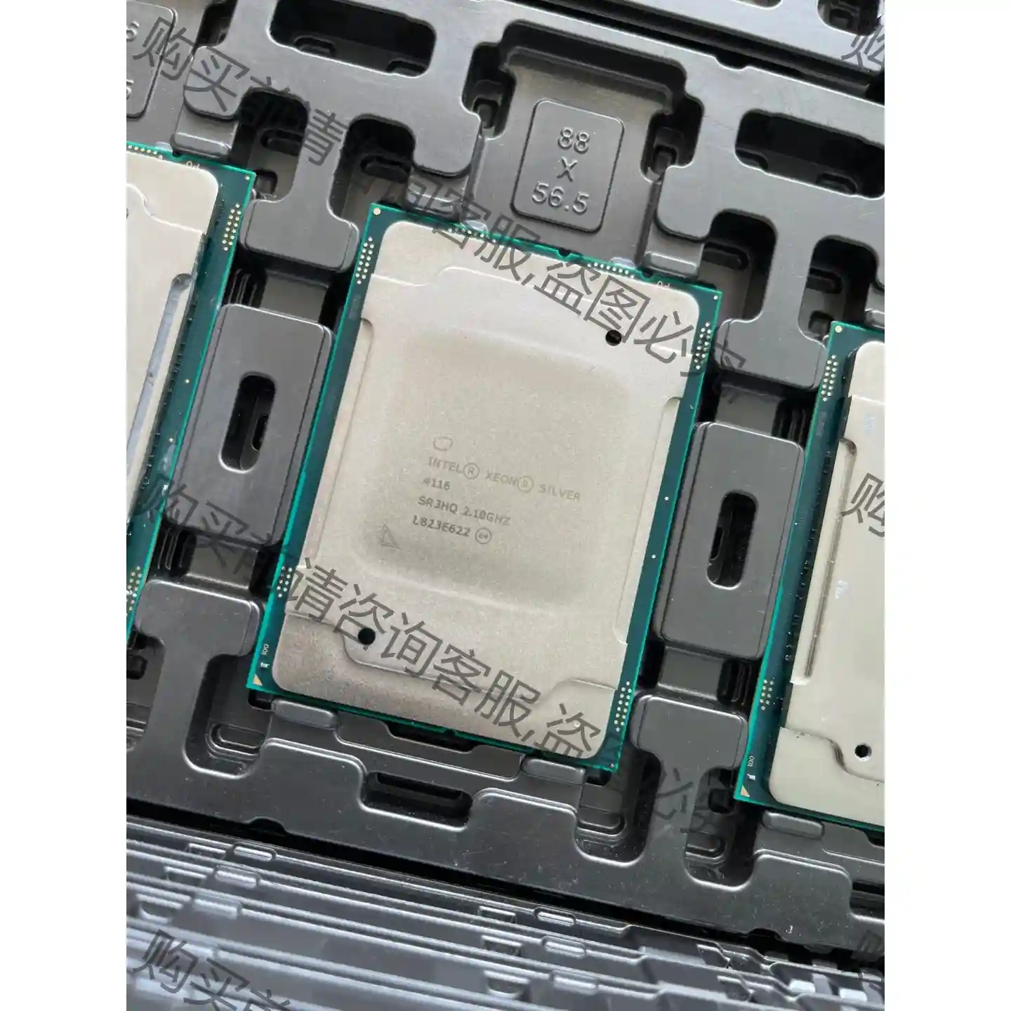 银牌 4116 正式版 CPU 2.1G. 12核心24线程 先议价 包上机好用