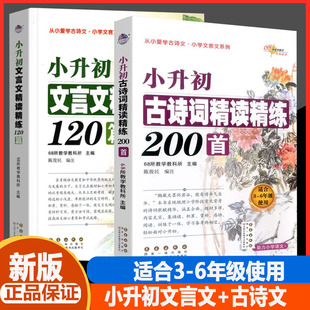 小升初文言文精读精练120篇+小升初古诗词精读精练200首68所教学阅读专项训练语文必备背教辅小古文启蒙对接初一知识积累