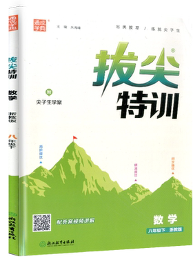 拔尖特训八年级下册数学浙教版