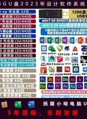 设计师 系统安装  办公软件 设计软件 PE U盘   2.0 128 u盘