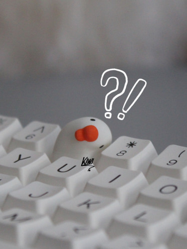 KIWI个性键帽歪头鹅蠢鹅问号鹅创意树脂键帽卡通可爱键盘女友礼物