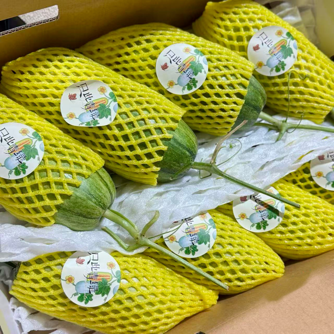 北京发出只此青绿博洋72香瓜礼盒装纯甜新鲜水果甜瓜蜜瓜羊角蜜