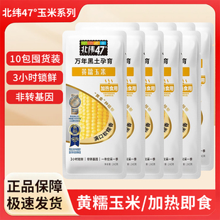 北纬47度黄玉米240g袋装10包东北甜黏玉米棒真空包装杂粮粗粮早餐