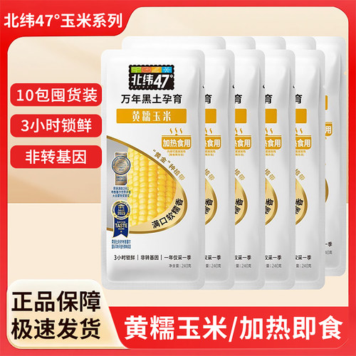 北纬47度黄玉米240g袋装10包东北甜黏玉米棒真空包装杂粮粗粮早餐