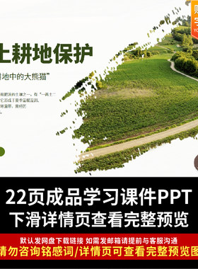 简洁大气黑土耕地保护守护耕地中的大熊猫PPT课件