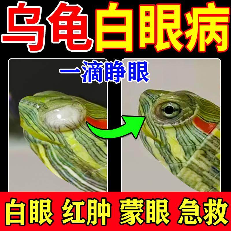乌龟眼睛睁不开特效药白眼病专用药巴西龟白眼病眼药水闭眼专用