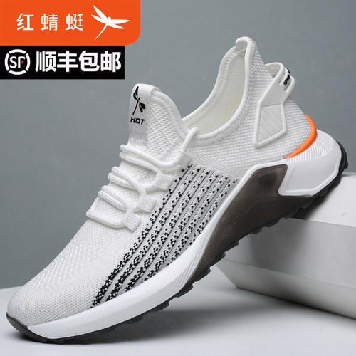 红蜻蜓男鞋夏季透气网面鞋薄款