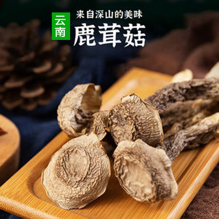 鹿茸菇云南菌菇新鲜野生菌美味