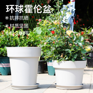 环球霍伦盆树脂圆形种菜多肉植物盆栽月季绿萝塑料阳台创意大花盆