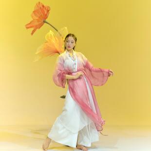 SOSO佳古典舞演出服女飘逸中国风刺绣渐变粉色纱衣成人舞蹈服开衫