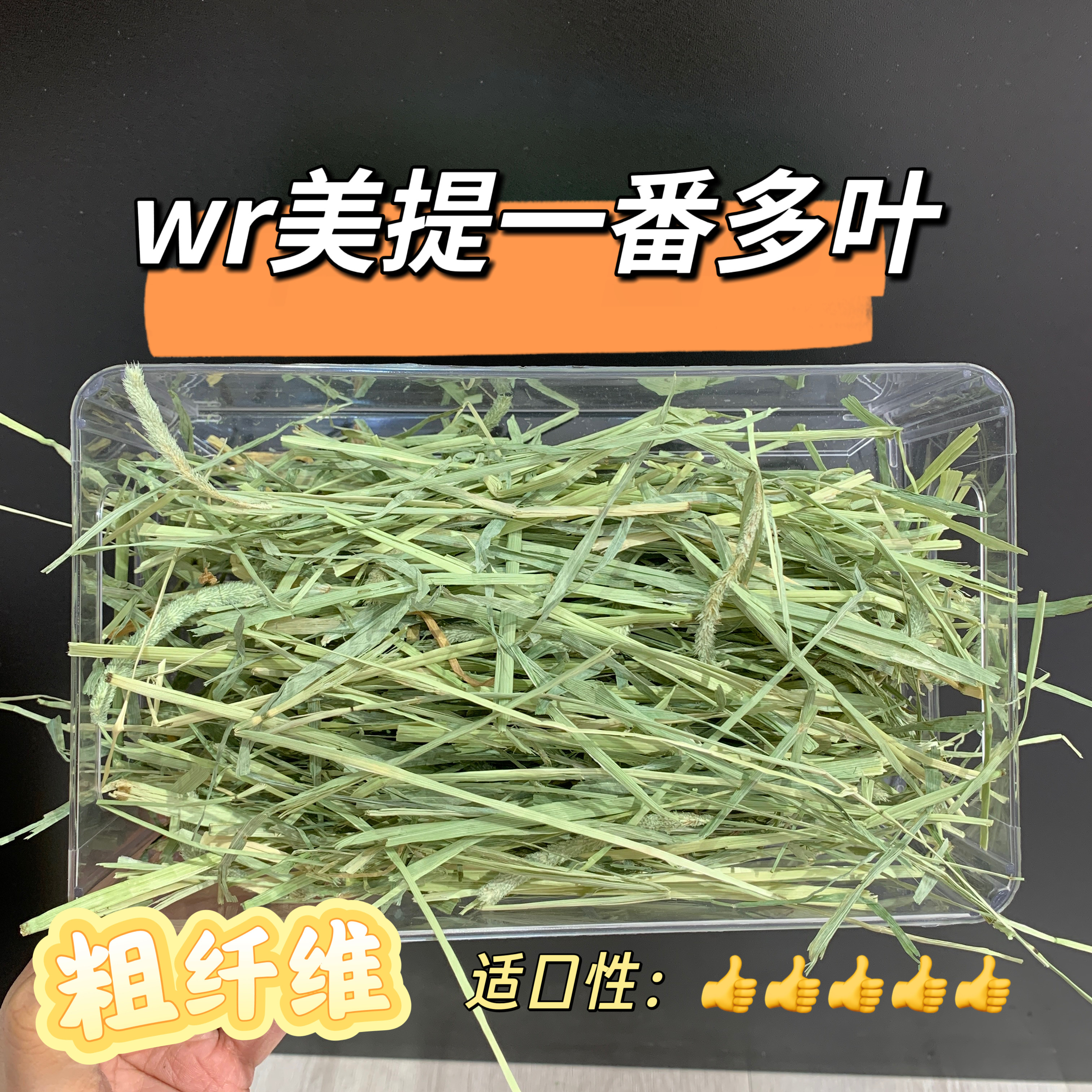 美国提摩西牧草wr美提一番多叶粗纤维适口性好草香浓郁主草推荐