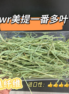 美国提摩西牧草wr美提一番多叶粗纤维适口性好草香浓郁主草推荐