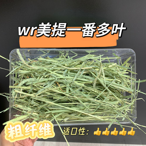 美国提摩西牧草wr美提一番多叶粗纤维适口性好草香浓郁主草推荐