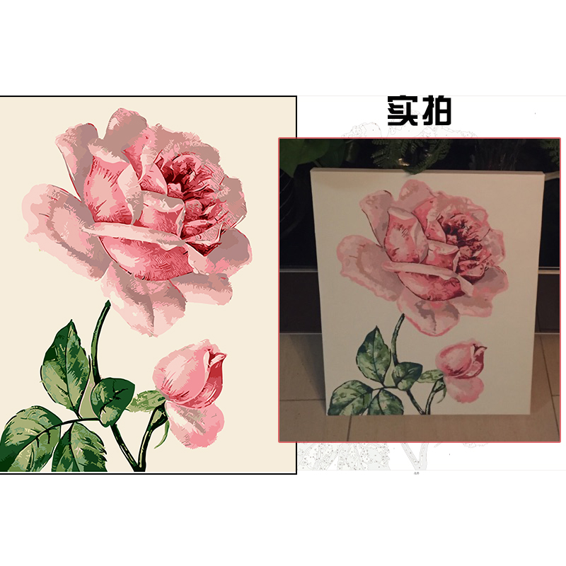 diy数字欧式花卉手绘客厅装饰画