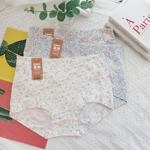 有机棉田园印花加大女士内裤