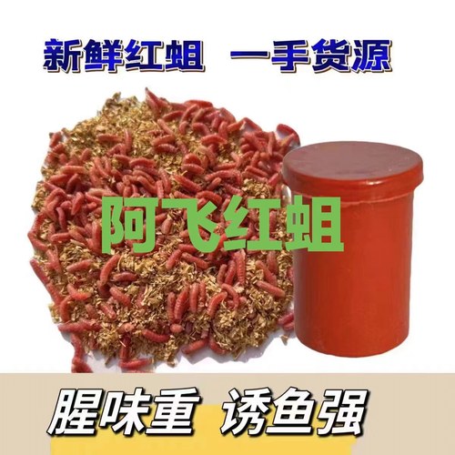 红蛆安徽蚯蚓渔具溪流钓鱼饵活饵