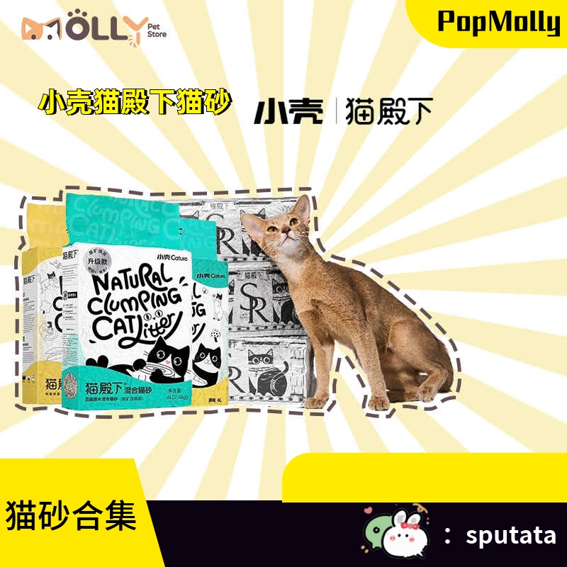 豆腐无尘除臭猫砂小壳猫殿下