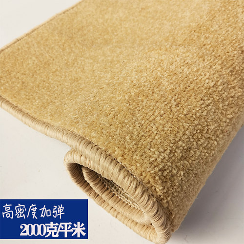 弯头纱圈绒轻奢满客厅纤维粗厚