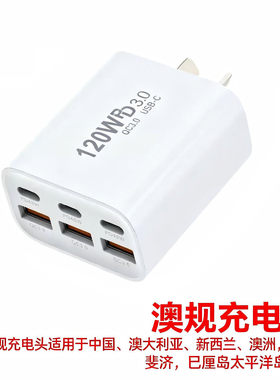 120WPD3.0多口Type-C充电插头