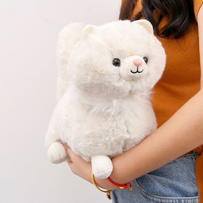 波斯猫毛绒玩具可爱猫咪玩偶图片