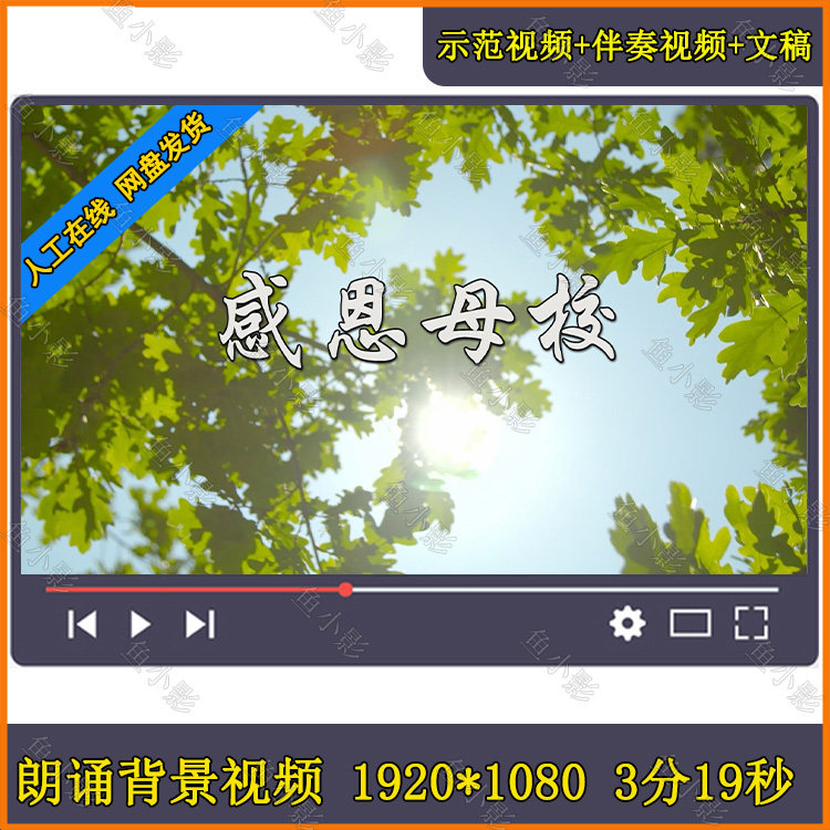 《感恩母校》青春不散场 青春不打烊 青春不毕业朗诵演讲背景视频