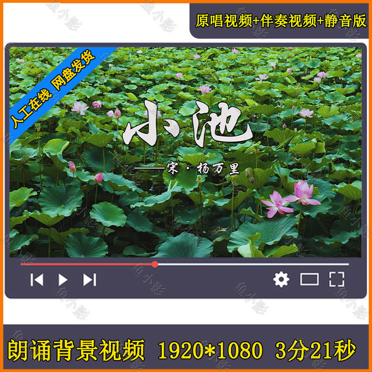 小池 古诗合唱舞蹈舞台大屏幕高清背景视频伴奏演出荷花 荷叶莲花