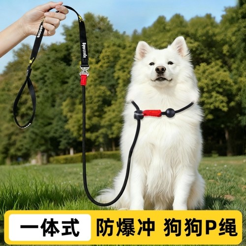 狗狗牵引绳比赛细P绳一体式专业训犬绳中小型犬防爆冲八字环通用