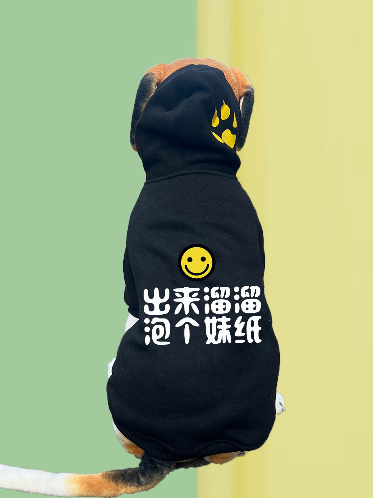 大狗纯棉不起球无静电宠物衣服