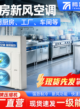 腾跃辉商用后厨新风换气空调