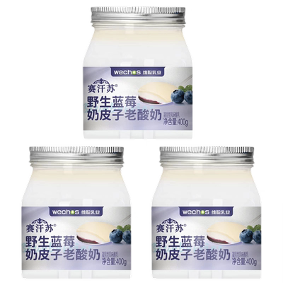 赛汗苏蓝莓味奶皮子400g低温冷藏风味发酵乳凝固型酸乳
