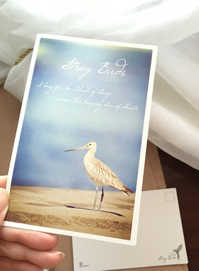 SAN 绝版泰戈尔飞鸟集唯美系列明信片竖款350G单张